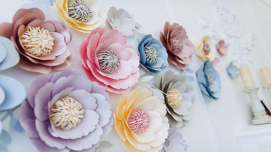 картинка цветы